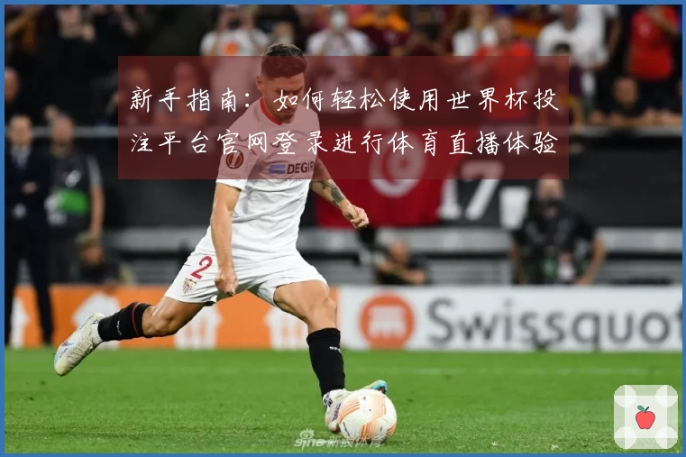新手指南：如何轻松使用世界杯投注平台官网登录进行体育直播体验