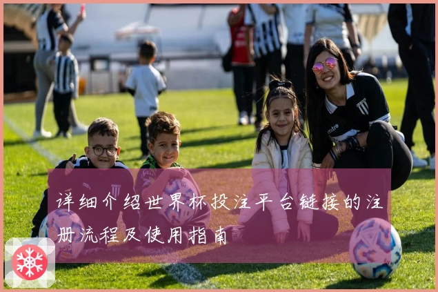 详细介绍世界杯投注平台链接的注册流程及使用指南