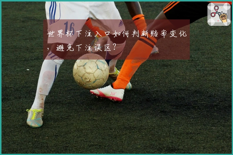 世界杯下注入口如何判断赔率变化,避免下注误区?
