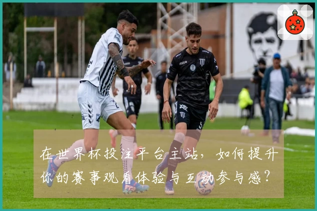 在世界杯投注平台主站，如何提升你的赛事观看体验与互动参与感？