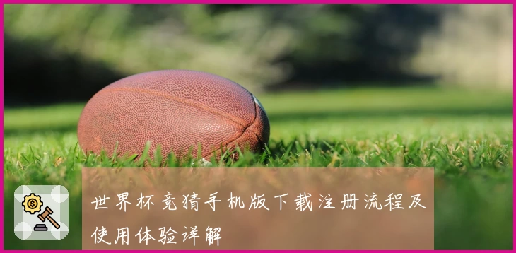 世界杯竞猜手机版下载注册流程及使用体验详解