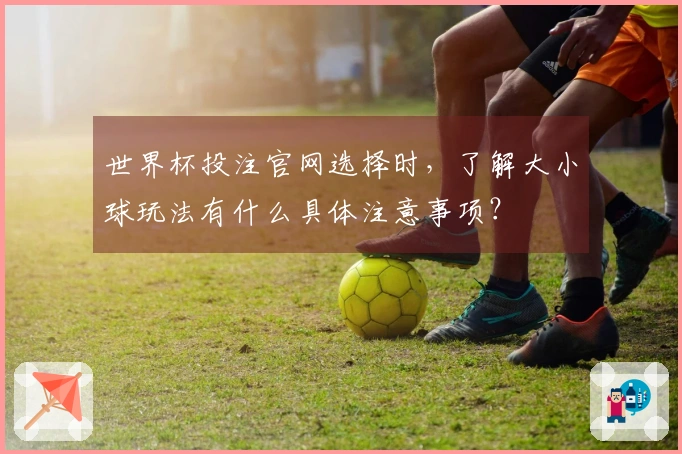 世界杯投注官网选择时，了解大小球玩法有什么具体注意事项？
