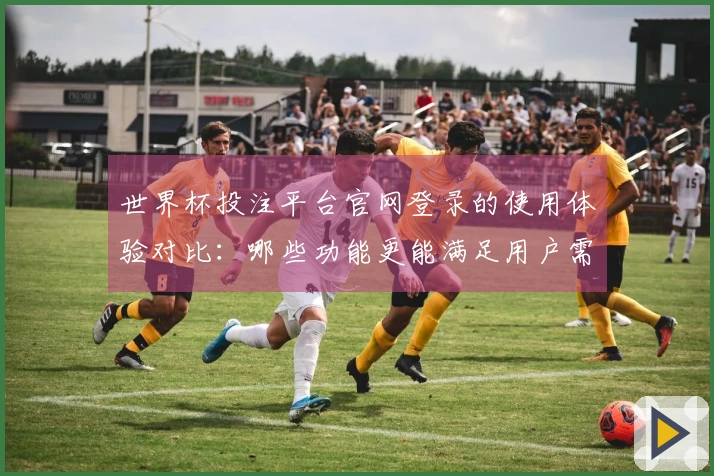 世界杯投注平台官网登录的使用体验对比：哪些功能更能满足用户需求？