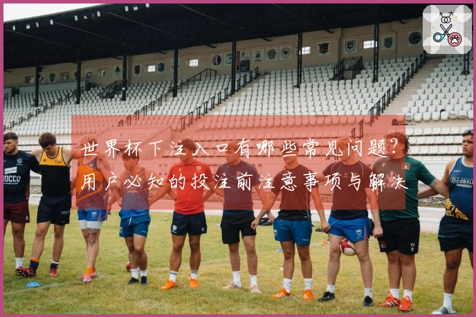 世界杯下注入口有哪些常见问题？用户必知的投注前注意事项与解决方案
