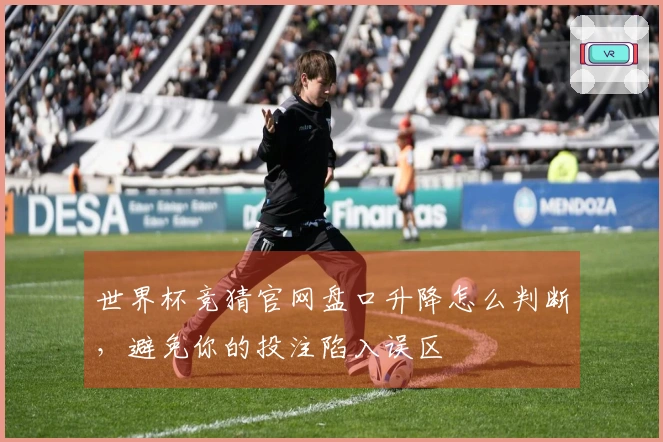 世界杯竞猜官网盘口升降怎么判断，避免你的投注陷入误区