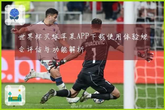 世界杯买球苹果APP下载使用体验综合评估与功能解析