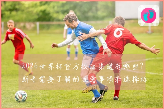 2026世界杯官方投注渠道有哪些？新手需要了解的注意事项和选择标准