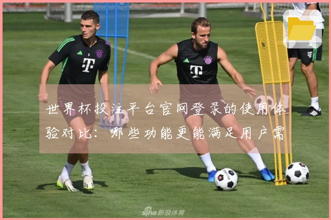 世界杯投注平台官网登录的使用体验对比：哪些功能更能满足用户需求？