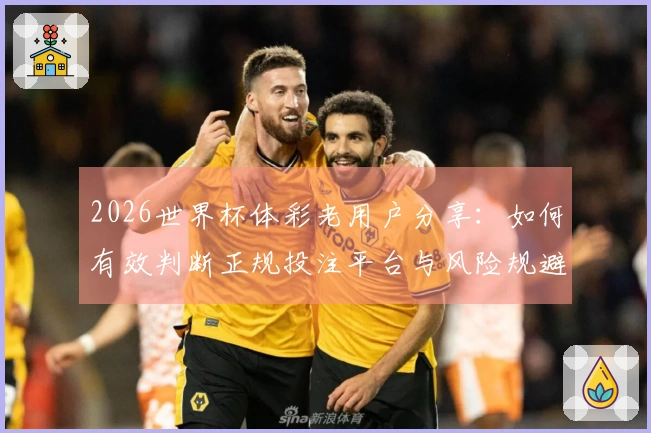 2026世界杯体彩老用户分享:如何有效判断正规投注平台与风险规避技巧