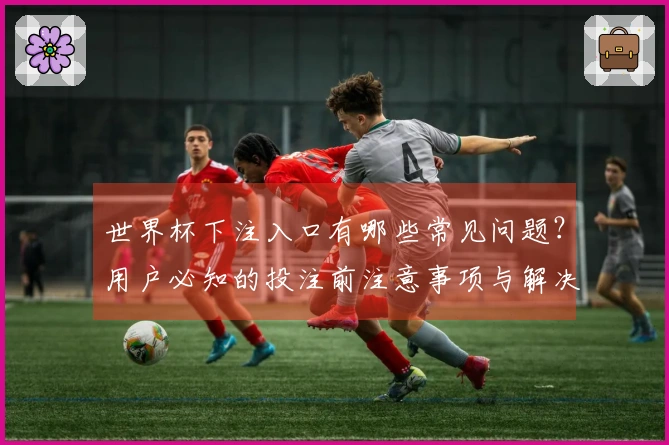 世界杯下注入口有哪些常见问题？用户必知的投注前注意事项与解决方案