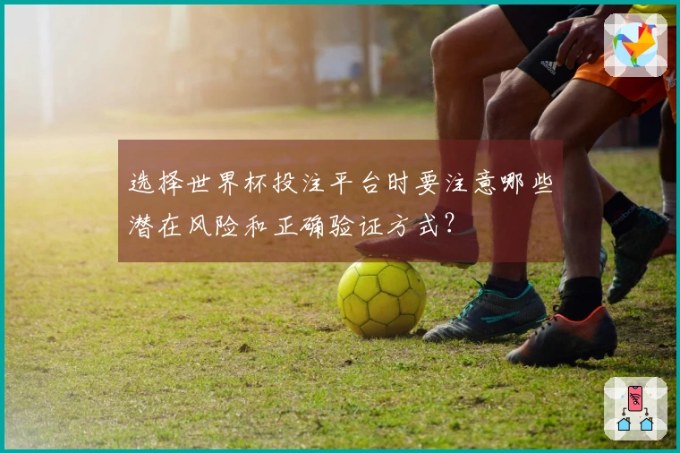 选择世界杯投注平台时要注意哪些潜在风险和正确验证方式？