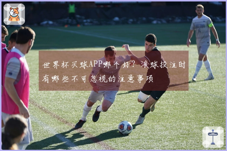 世界杯买球APP哪个好？滚球投注时有哪些不可忽视的注意事项