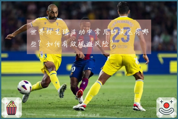 世界杯竞猜活动中常见的误区有哪些？如何有效规避风险？