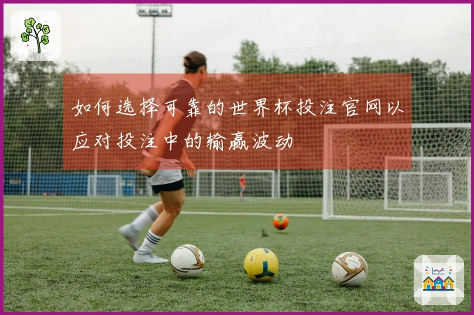 如何选择可靠的世界杯投注官网以应对投注中的输赢波动