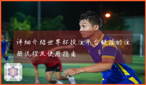 详细介绍世界杯投注平台链接的注册流程及使用指南