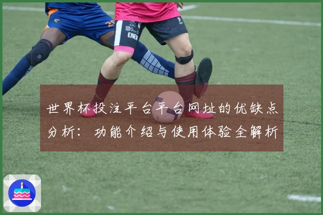 世界杯投注平台平台网址的优缺点分析：功能介绍与使用体验全解析