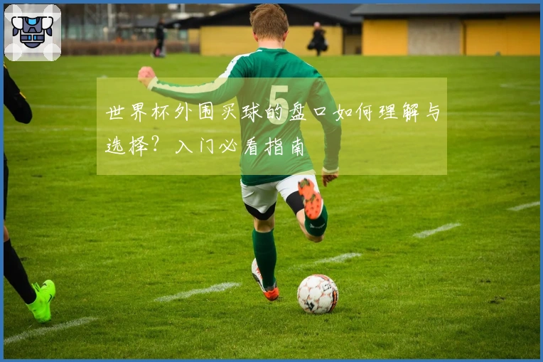 世界杯外围买球的盘口如何理解与选择？入门必看指南